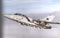 Tornado ADV with Skyflash missiles under fuselage